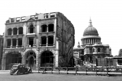 Bombed out building near St Paul's London where  Black Redstarts were nesting.